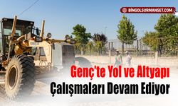 Genç’te Yol ve Altyapı Çalışmaları Devam Ediyor