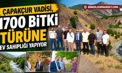 Çapakçur Vadisi, 1700 Bitki Türüne Ev Sahipliği Yapıyor