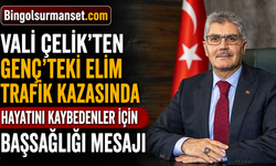 Vali Çelik'ten Genç’teki Elim Trafik Kazasında Hayatını Kaybedenler İçin Başsağlığı Mesajı