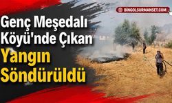 Genç Meşedalı Köyü’nde Çıkan Yangın Söndürüldü
