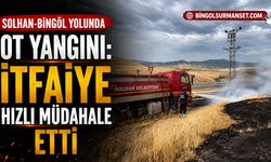 Solhan-Bingöl Yolunda Ot Yangını: İtfaiye Hızlı Müdahale Etti