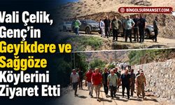 Vali Çelik, Genç’in Geyikdere ve Sağgöze Köylerini Ziyaret Etti