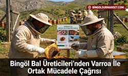 Bingöl Bal Üreticileri’nden Varroa İle Ortak Mücadele Çağrısı