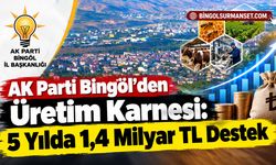 AK Parti Bingöl’den Üretim Karnesi: 5 Yılda 1,4 Milyar TL Destek