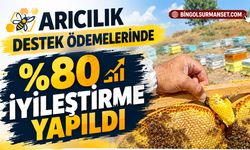 Arıcılık Destek Ödemelerinde %80 İyileştirme Yapıldı