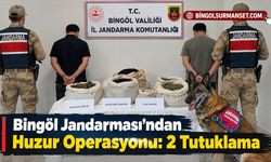 Bingöl Jandarması’ndan Huzur Operasyonu: 2 Tutuklama