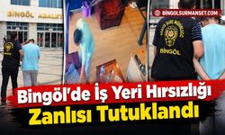 Bingöl’de İş Yeri Hırsızlığı Zanlısı Tutuklandı