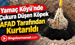 Yamaç Köyü’nde Çukura Düşen Köpek AFAD Tarafından Kurtarıldı