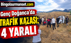 Genç Doğanca’da Trafik Kazası: 4 Yaralı