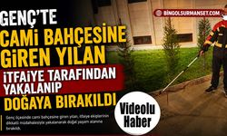 Cami Bahçesine Giren Yılan Yakalanıp Doğaya Bırakıldı