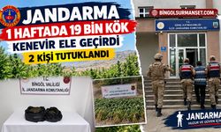 Jandarma 1 Haftada 19 Bin Kök Kenevir Ele Geçirdi, 2 Kişi Tutuklandı