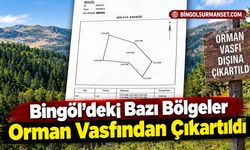 Bingöl’deki Bazı Bölgeler Orman Vasfından Çıkartıldı