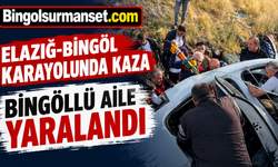 Elazığ-Bingöl Karayolunda Kaza: Bingöllü Aile Yaralandı