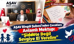 AŞAV Bingöl Şubesi’nden Çocuklara Anlamlı Mektup