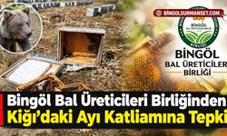 Bingöl Bal Üreticileri Birliğinden Kiğı'daki Ayı Katliamına Tepki