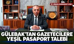 BİK Genel Kurul Üyesi Tahir Gülebak’tan Gazetecilere Yeşil Pasaport Talebi