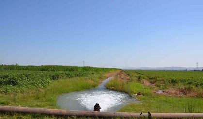 Güneydoğu’da çiftçilerin elektrik borcu 27 milyara ulaştı