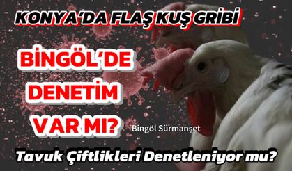 Konya’da Kuş Gribi Vakası Tespit Edildi: Bingöl’de Tavuk Çiftlikleri Kontrol Ediliyor Mu?