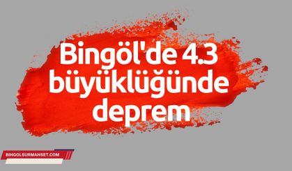 Bingöl'de 4.3 büyüklüğünde deprem