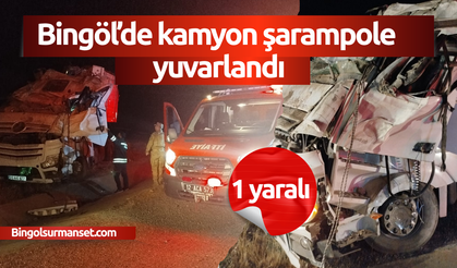 Bingöl’de kamyon şarampole yuvarlandı: 1 yaralı