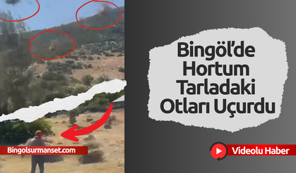Bingöl’de Hortum Tarladaki Otları Uçurdu