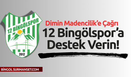 Dimin Madencilik’e Çağrı: 12 Bingölspor’a Destek Verin!