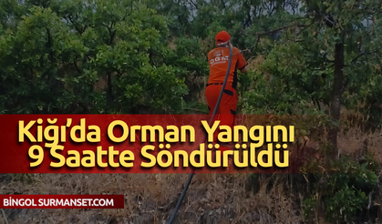 Kiğı’da Orman Yangını 9 Saatte Söndürüldü