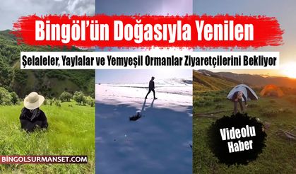 Şelaleler, Yaylalar ve Yemyeşil Ormanlar Ziyaretçilerini Bekliyor