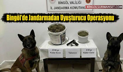 Bingöl’de Jandarmadan Uyuşturucu Operasyonu