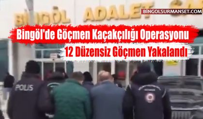 Bingöl'de Göçmen Kaçakçılığı Operasyonu