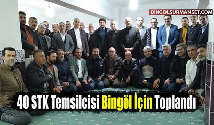 40 STK Temsilcisi Bingöl İçin Toplandı
