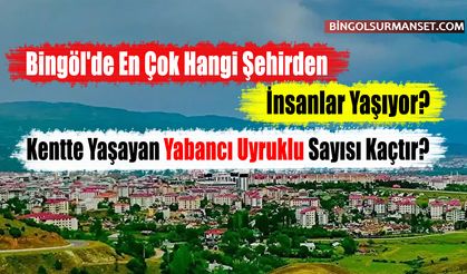 Bingöl'de En Çok Hangi Şehirden İnsanlar Yaşıyor?