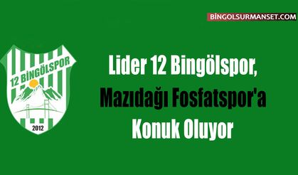 Lider 12 Bingölspor, Mazıdağı Fosfatspor'a Konuk Oluyor