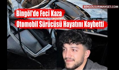 Bingöl'de Feci Kaza: Otomobil Sürücüsü Hayatını Kaybetti