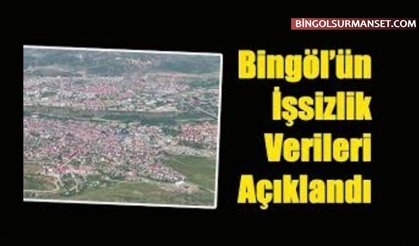 Bingöl'de İşsizlik Oranı 2025'te Yüzde 9,6 Oldu