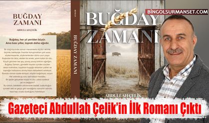 Gazeteci Abdullah Çelik’in İlk Romanı Çıktı