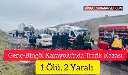 Genç-Bingöl Karayolu'nda Trafik Kazası: 1 Ölü, 2 Yaralı