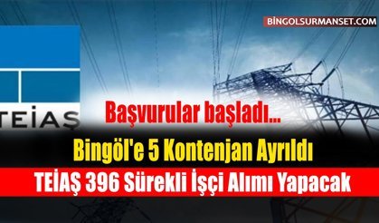 TEİAŞ 396 Sürekli İşçi Alımı Yapacak: Bingöl'e de 5 Kontenjan Ayrıldı