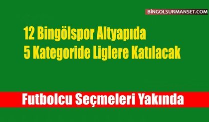 12 Bingölspor Altyapıda 5 Kategoride Liglere Katılacak