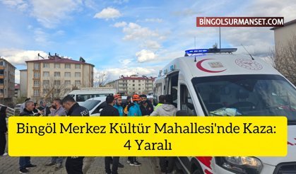 Bingöl Merkez Kültür Mahallesi'nde Kaza: 4 Yaralı