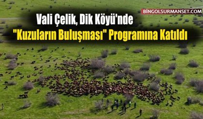Vali Çelik, Dik Köyü'nde "Kuzuların Buluşması" Programına Katıldı