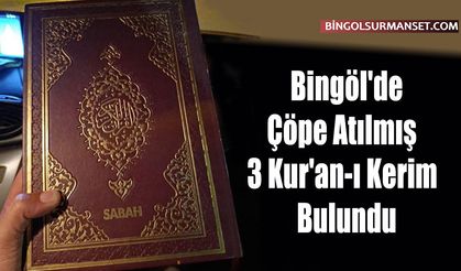Bingöl'de Çöpe Atılmış 3 Kur'an-ı Kerim Bulundu