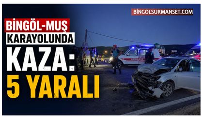 Bingöl-Muş Karayolunda Kaza: 5 Yaralı