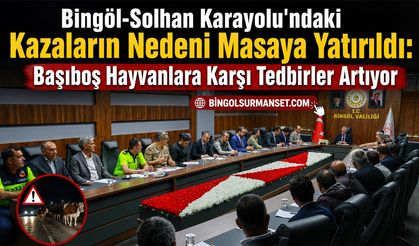 Bingöl-Solhan Karayolu'ndaki Kazaların Nedeni Masaya Yatırıldı