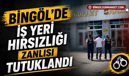 Bingöl’de İş Yeri Hırsızlığı Zanlısı Tutuklandı