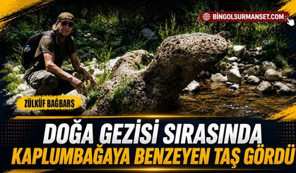 Doğa Gezisi Sırasında Kaplumbağaya Benzeyen Taş Gördü