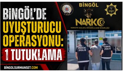 Bingöl'de Narkotik Operasyonu: 1 Tutuklama
