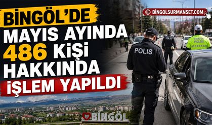 Bingöl'de Mayıs Ayında 486 Kişi Hakkında İşlem Yapıldı