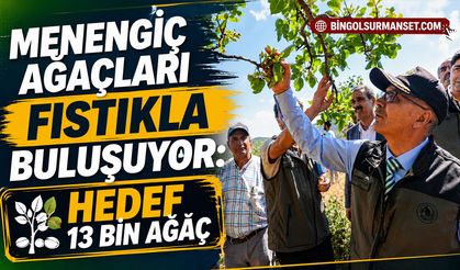Menengiç Ağaçları Fıstıkla Buluşuyor: Hedef 13 Bin Ağaç