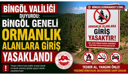 Bingöl Geneli Ormanlık Alanlara Giriş Yasaklandı